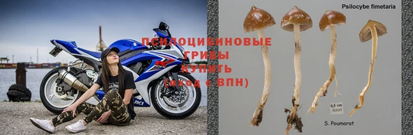 мяу мяу мука Аркадак