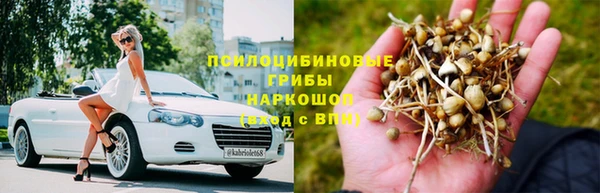 крисы Арсеньев