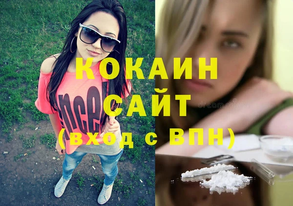 мяу мяу мука Аркадак